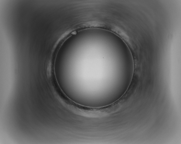 X0000114500012200910191300
