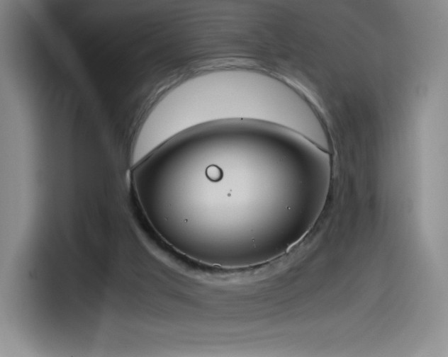 X0000114500013200910191300