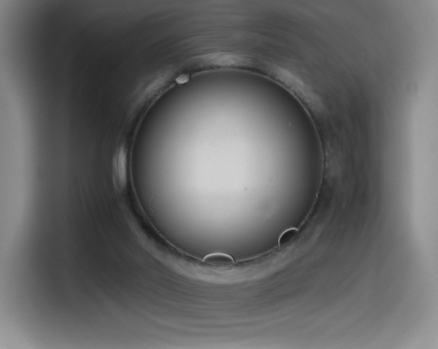 X0000114500014200910191300