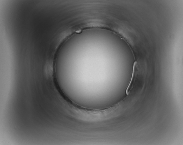X0000114500015200910191300