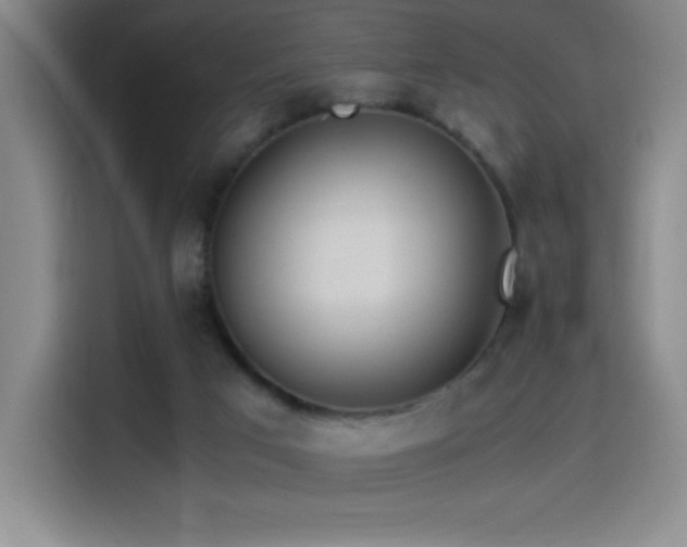 X0000114500017200910191300