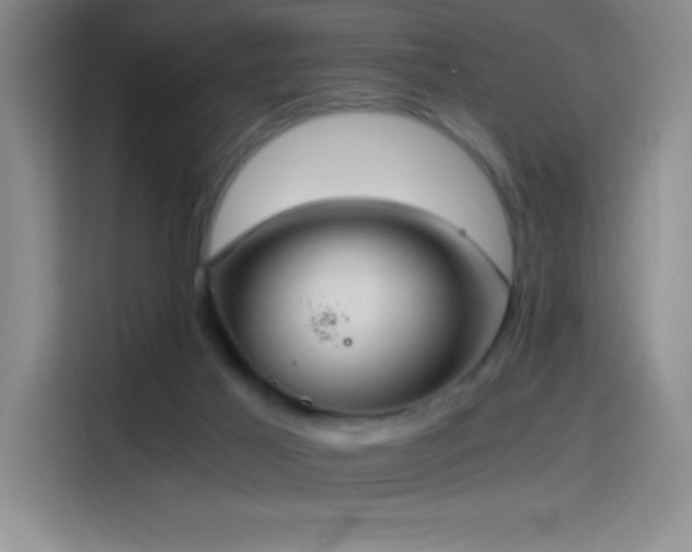 X0000114500021200910191300