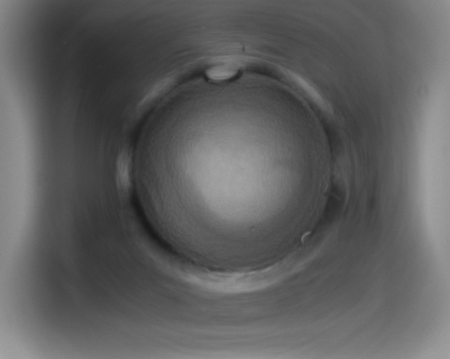 X0000114500023200910191300