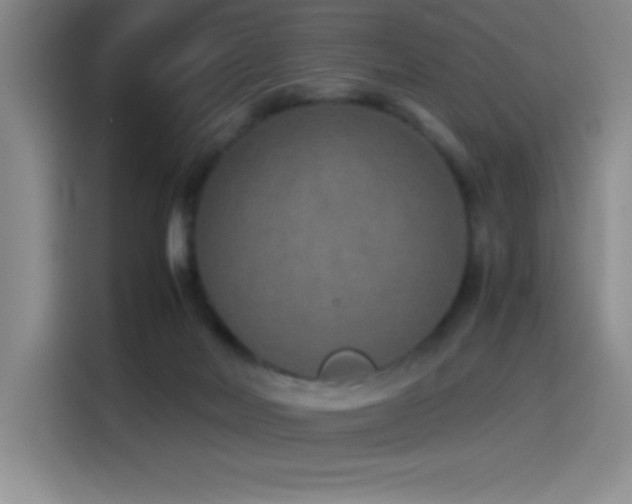X0000114500026200910191300