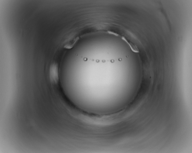 X0000114500028200910191300