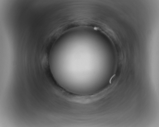 X0000114500029200910191300