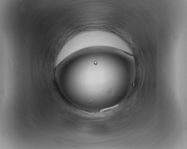 X0000114500031200910191300