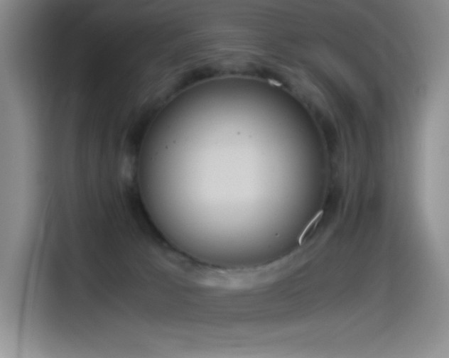 X0000114500033200910191300