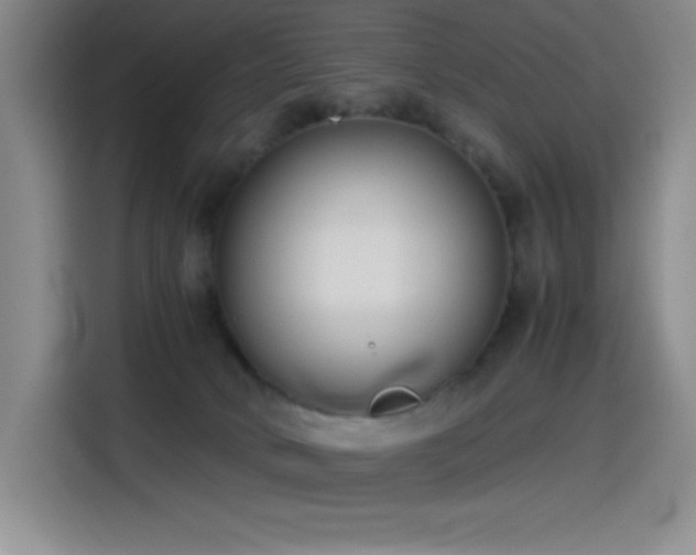 X0000114500034200910191300