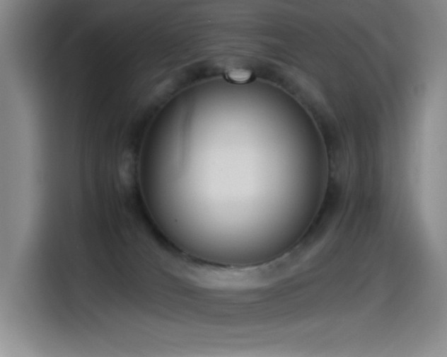 X0000114500036200910191300