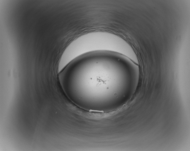 X0000114500037200910191300