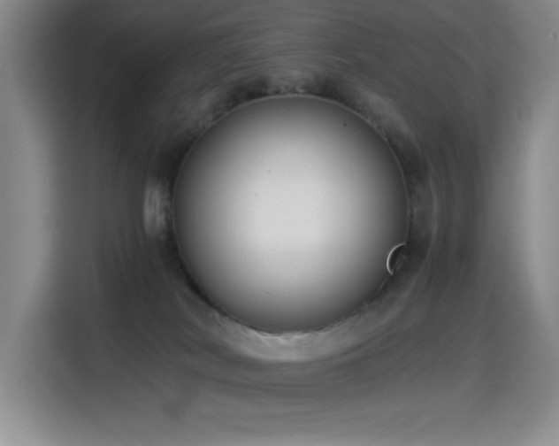 X0000114500038200910191300