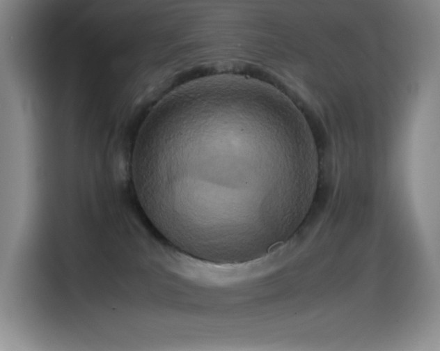 X0000114500039200910191259