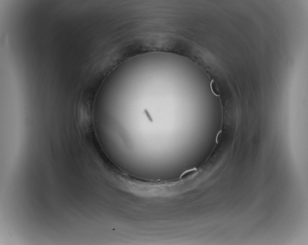 X0000114500040200910191259