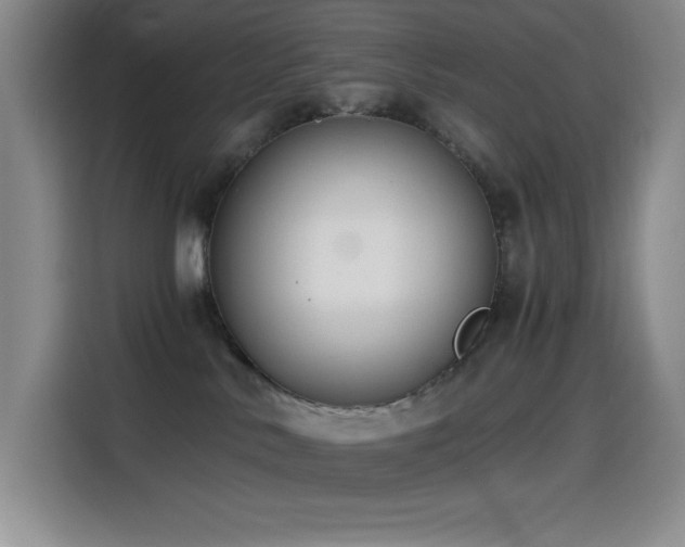 X0000114500042200910191259