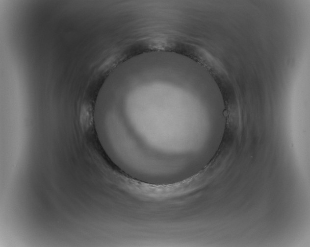 X0000114500043200910191259