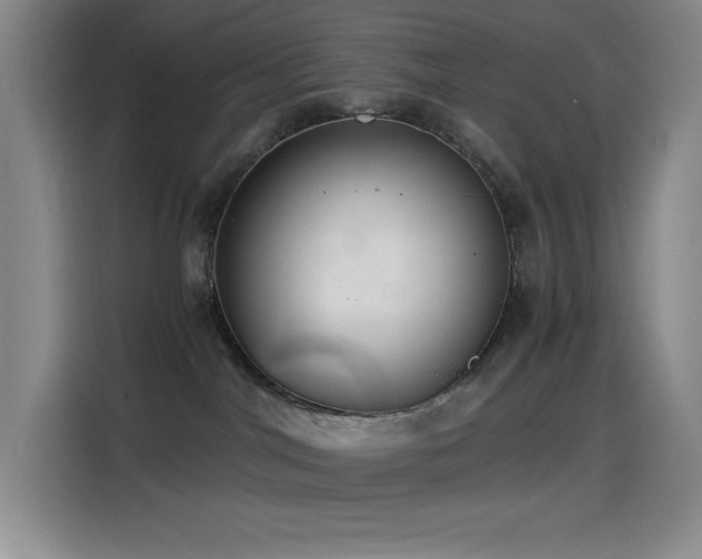X0000114500044200910191259