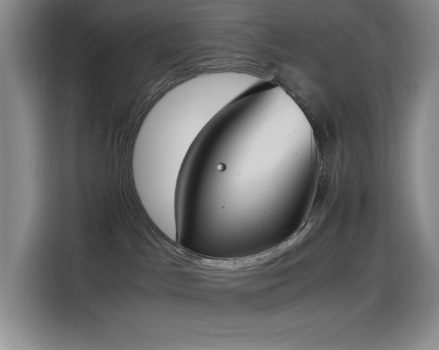 X0000114500045200910191259