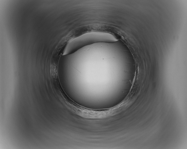 X0000114500048200910191259
