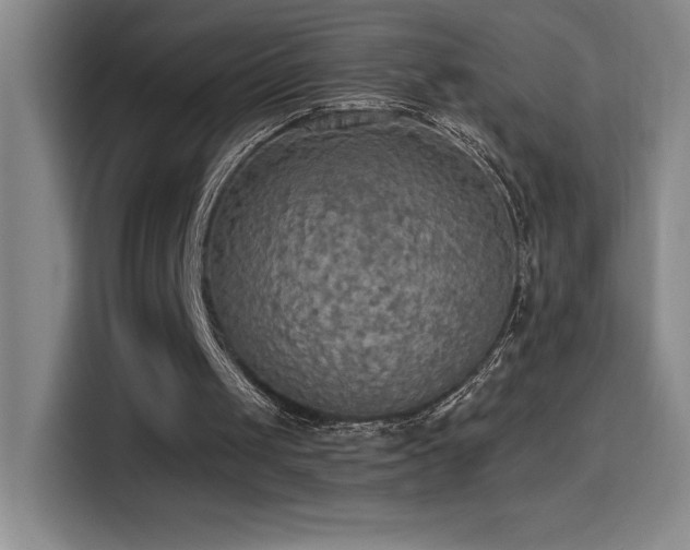 X0000114500049200910191259