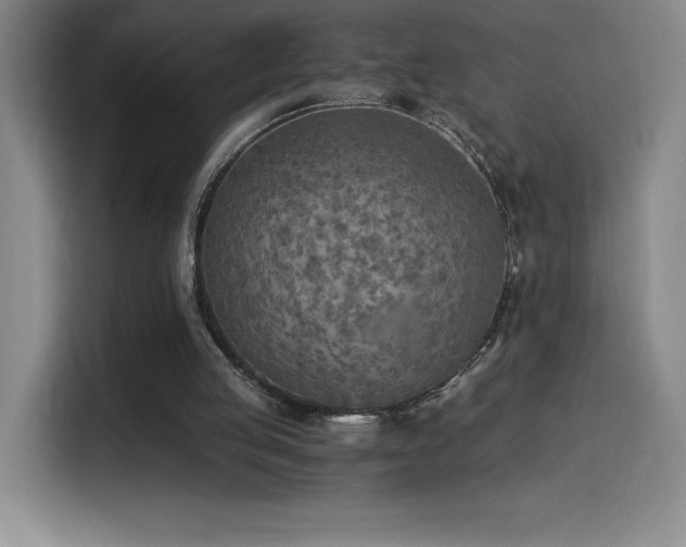 X0000114500053200910191259