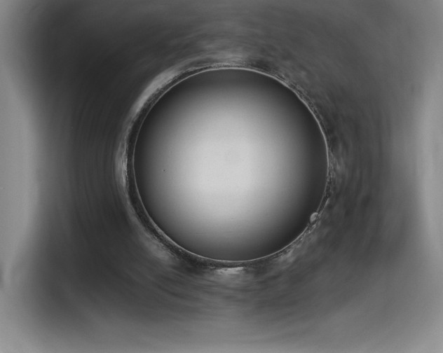 X0000114500054200910191259