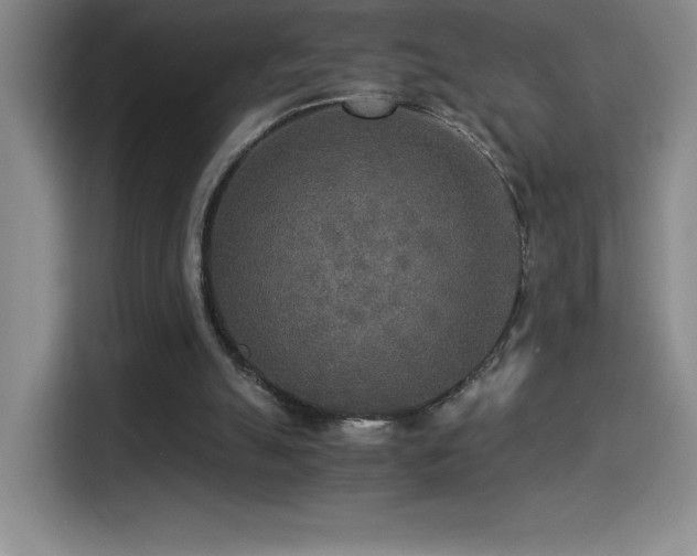 X0000114500055200910191259