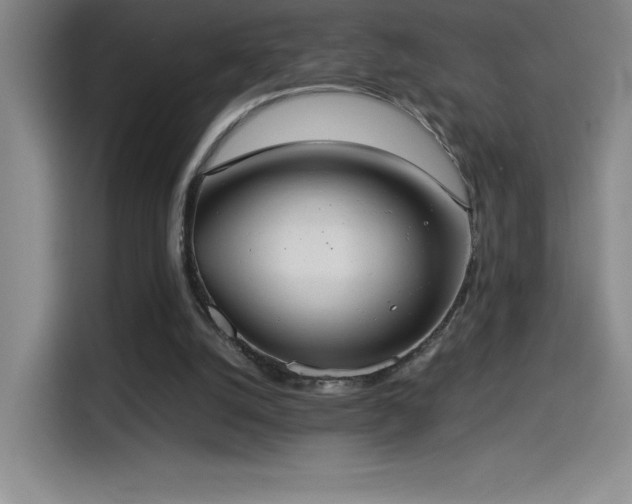 X0000114500056200910191259