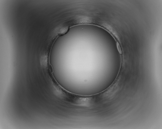 X0000114500057200910191259