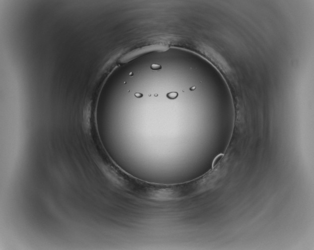 X0000114500058200910191259