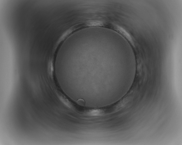 X0000114500059200910191259