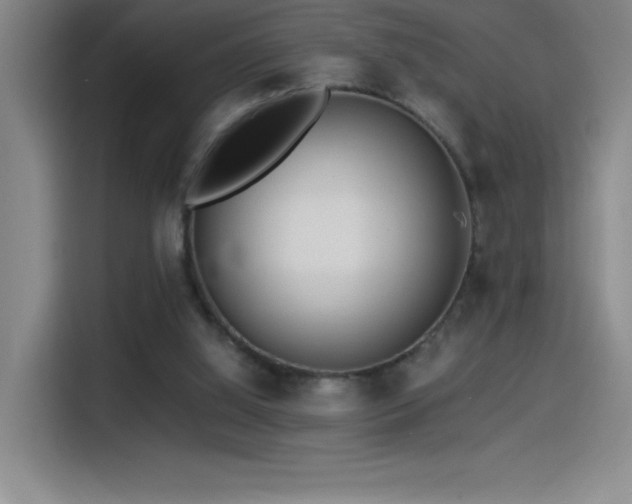 X0000114500060200910191259