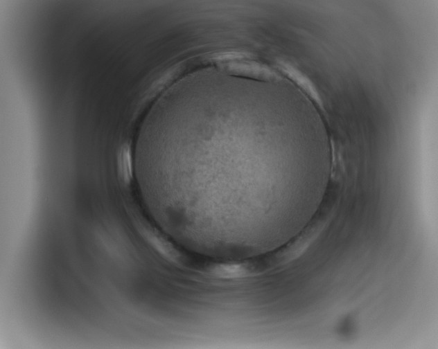 X0000114500061200910191259