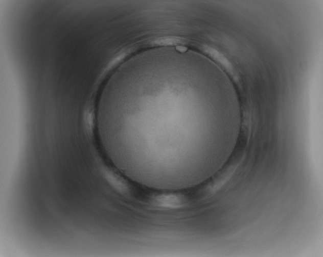 X0000114500063200910191259