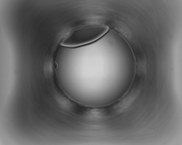 X0000114500064200910191259