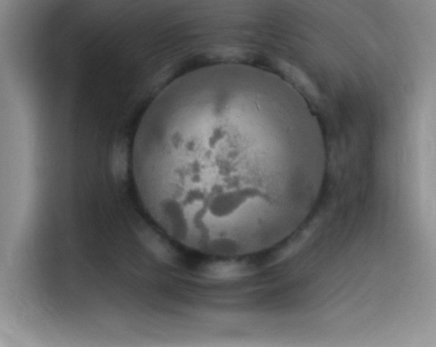 X0000114500065200910191259
