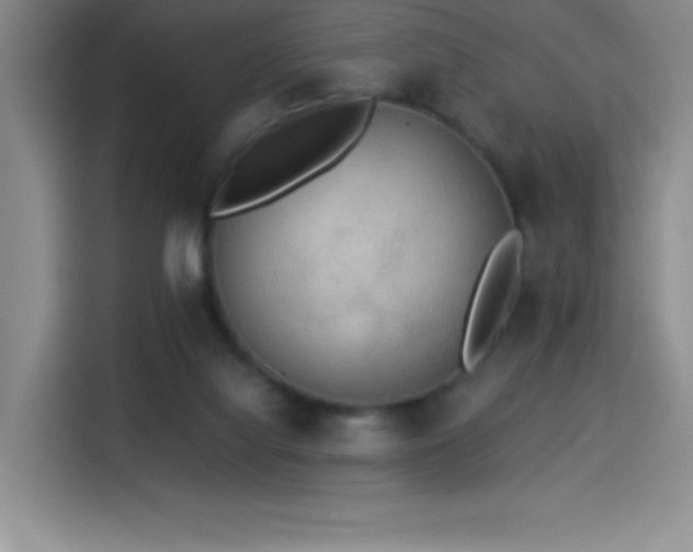 X0000114500068200910191259