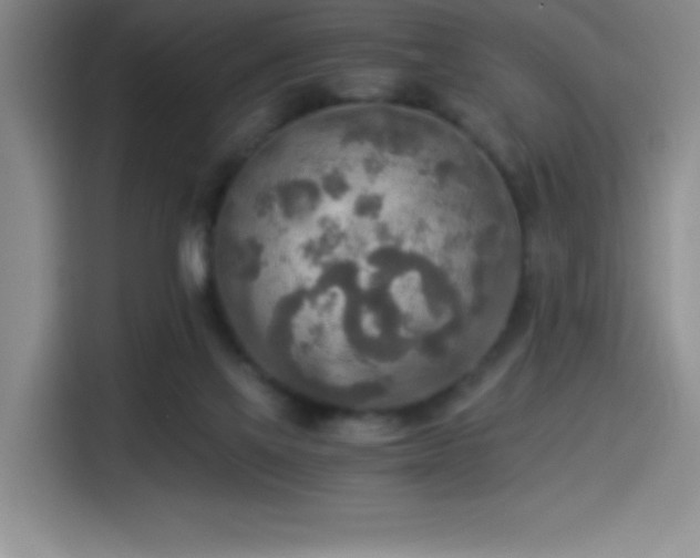 X0000114500069200910191259