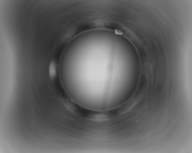 X0000114500075200910191259