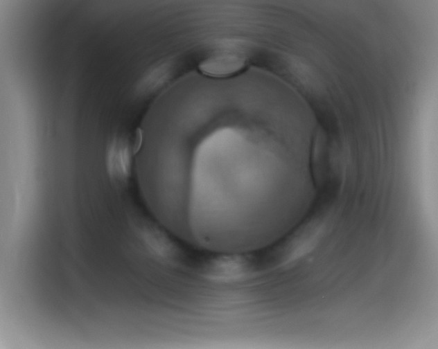 X0000114500076200910191259