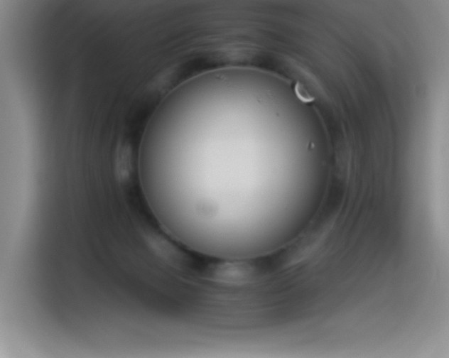 X0000114500077200910191259
