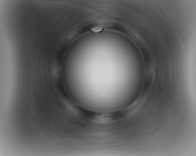 X0000114500078200910191259