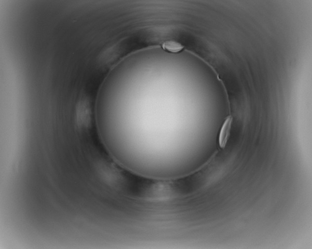 X0000114500080200910191259