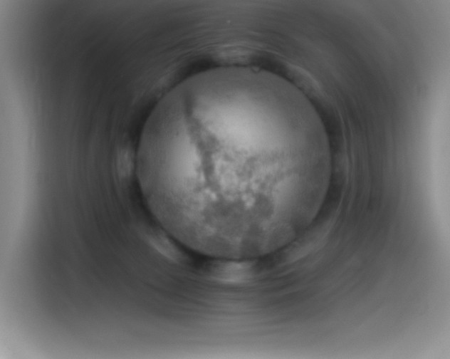 X0000114500081200910191259