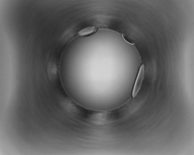 X0000114500084200910191259