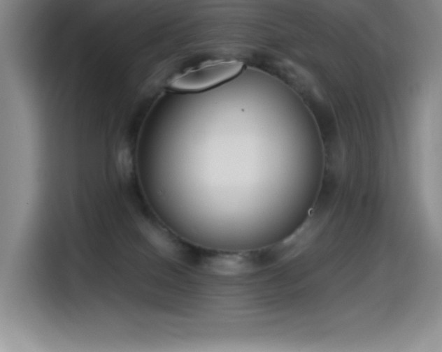 X0000114500086200910191259