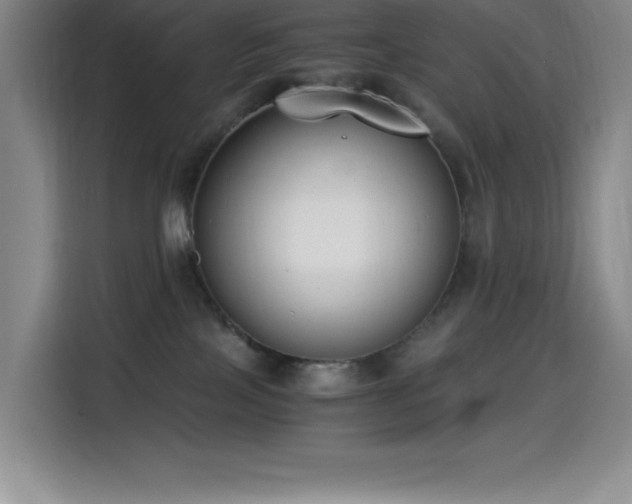 X0000114500089200910191259