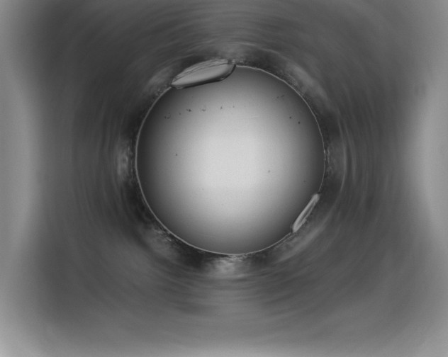 X0000114500092200910191259