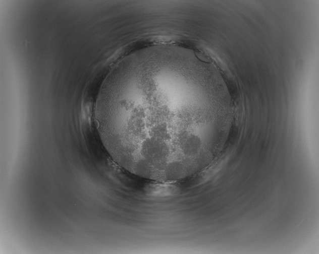 X0000114500093200910191259