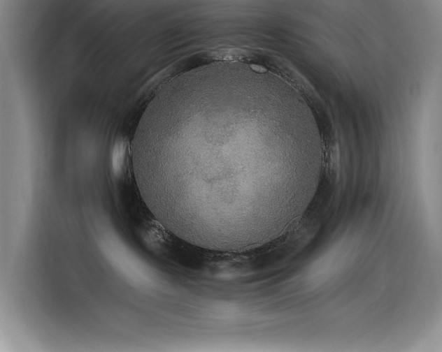 X0000114500095200910191259